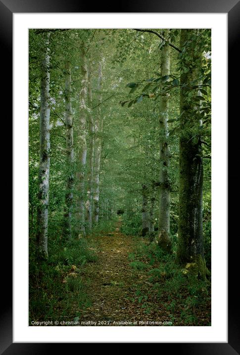 Path trough the trees  Framed Mounted Print by christian maltby