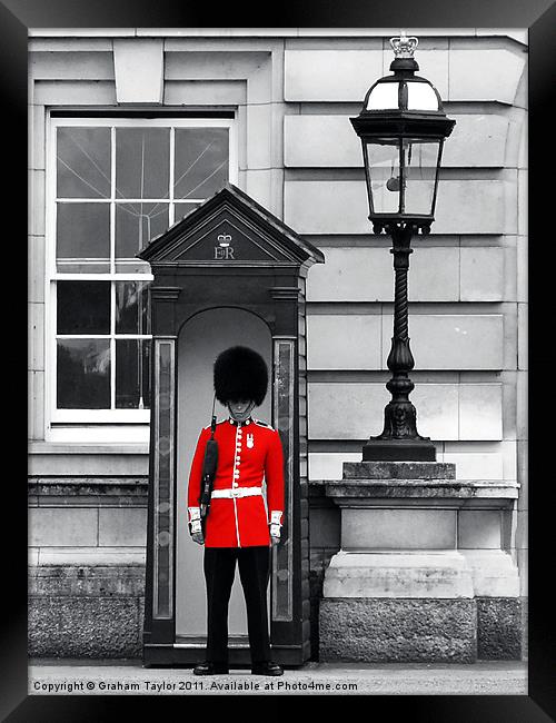 Regal Red at Buckingham Palace Framed Print by Graham Taylor