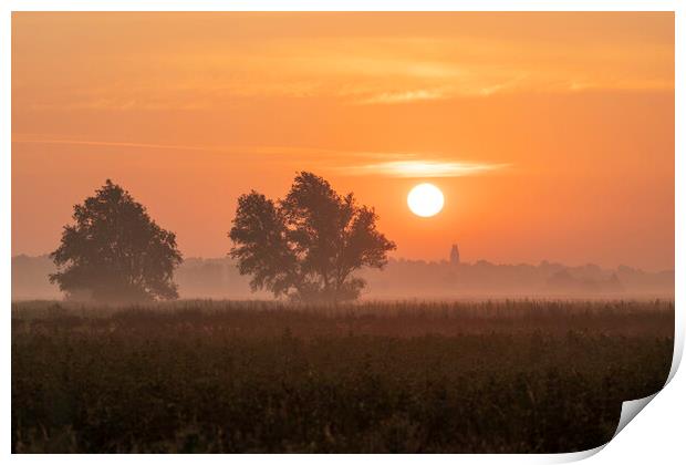 Sunrise over Sutton, Cambridgeshire, from the 100 Foot Bank Print by Andrew Sharpe
