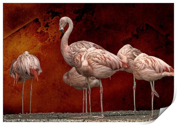 Pink Flamingos Print by Kev Robertson