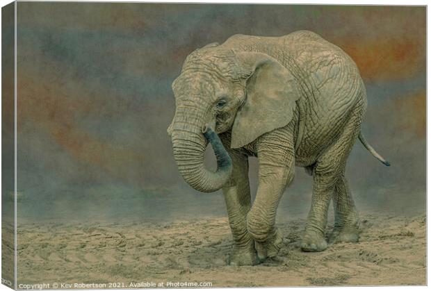 Elephant Canvas Print by Kev Robertson
