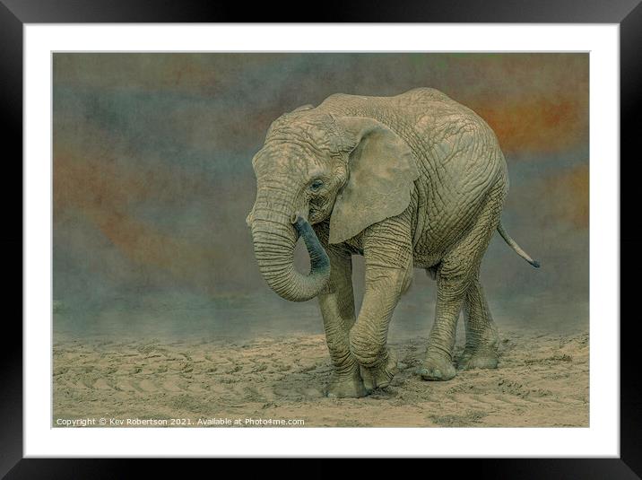 Elephant Framed Mounted Print by Kev Robertson