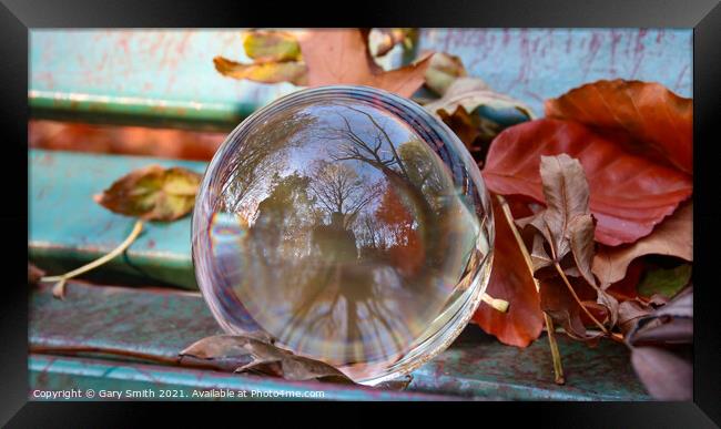 Photo ball With Autumn Colours Framed Print by GJS Photography Artist