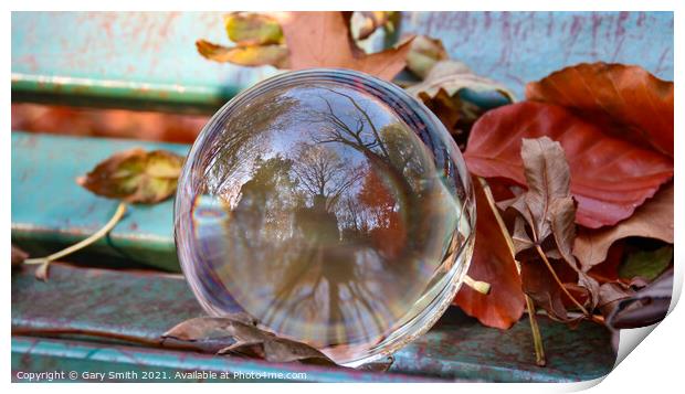 Photo ball With Autumn Colours Print by GJS Photography Artist