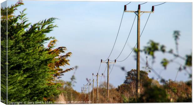 Power Lines Neatly In Order Canvas Print by GJS Photography Artist