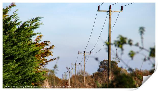 Power Lines Neatly In Order Print by GJS Photography Artist