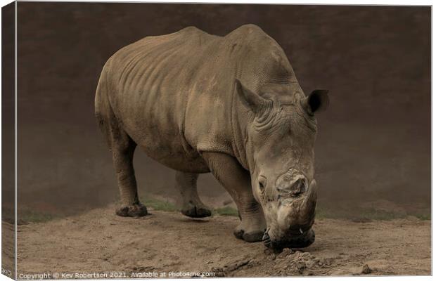 A rhinoceros standing in a dirt field Canvas Print by Kev Robertson