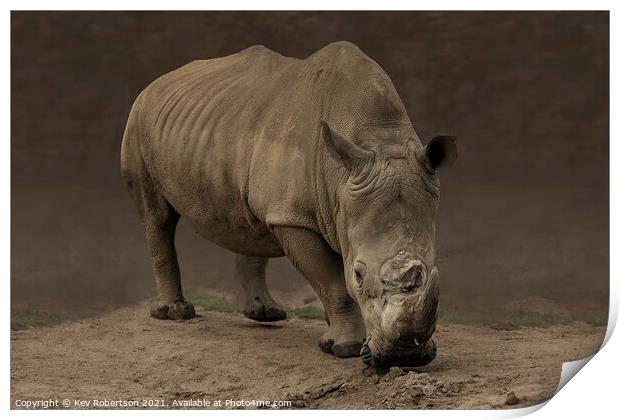 A rhinoceros standing in a dirt field Print by Kev Robertson