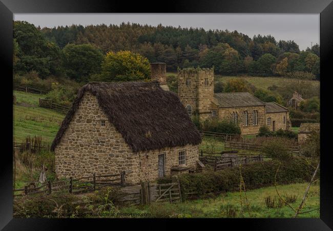 Country Life Framed Print by mark james