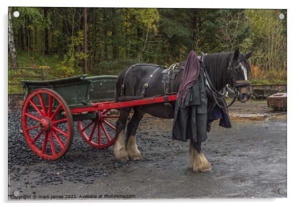 The Coalman's Cart Acrylic by mark james