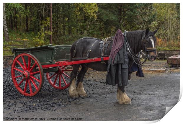 The Coalman's Cart Print by mark james