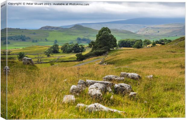 Smearsett Scar from Winskill Stones above Langcliffe. Canvas Print by Peter Stuart