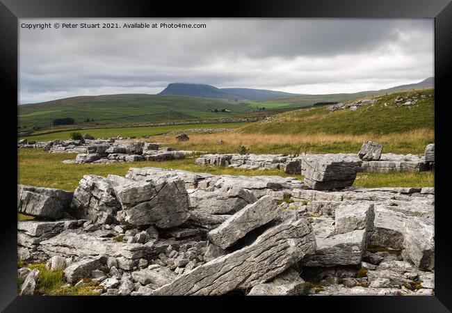 Pen-y-ghent from Winskill Stones above Langcliffe Framed Print by Peter Stuart