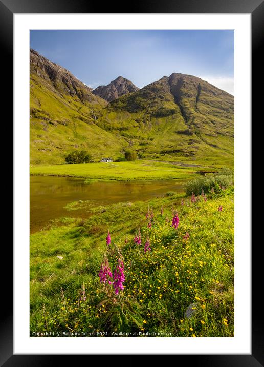 Glen Coe Loch Achtriochtan Summer Flowers   Framed Mounted Print by Barbara Jones