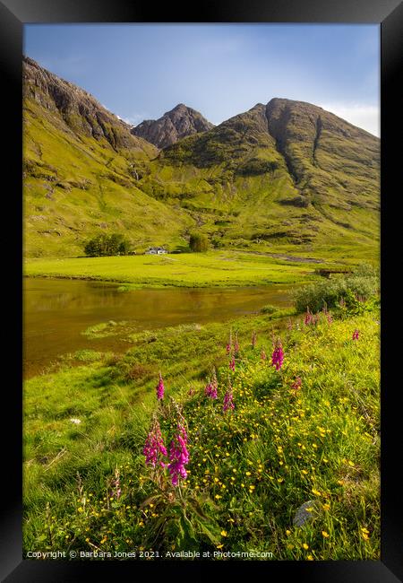 Glen Coe Loch Achtriochtan Summer Flowers   Framed Print by Barbara Jones