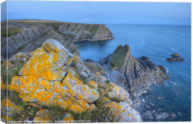 The Knave, Gower Peninsula Canvas Print by Neil Holman
