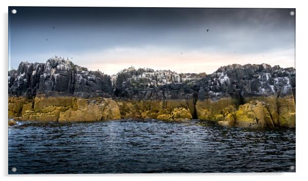 Cliffs at Staple Island, Farne, Northumberland Acrylic by Mark Jones