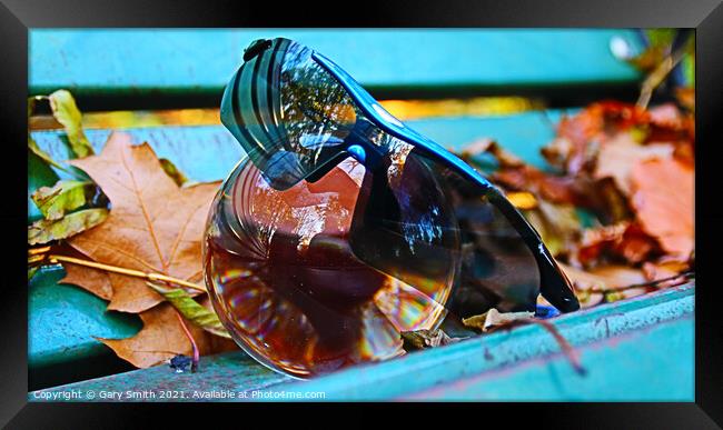 Photo ball With Sunglasses on a Bench In Autumn  Framed Print by GJS Photography Artist