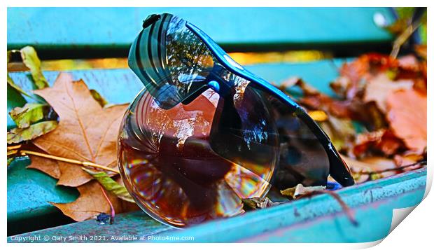 Photo ball With Sunglasses on a Bench In Autumn  Print by GJS Photography Artist