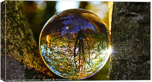 Photo Ball In The Woods Golden Sunlight Breaking Canvas Print by GJS Photography Artist