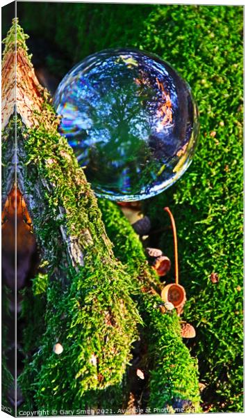 Ball, Woods, Nature Canvas Print by GJS Photography Artist