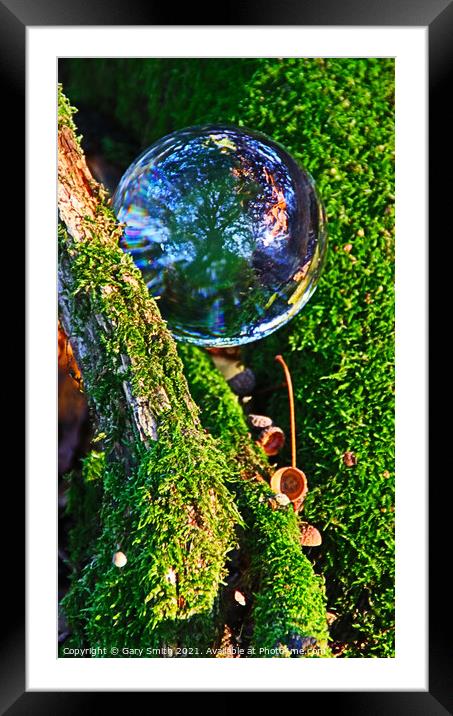 Ball, Woods, Nature Framed Mounted Print by GJS Photography Artist