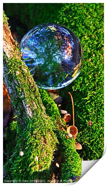 Ball, Woods, Nature Print by GJS Photography Artist