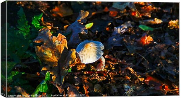 Snowy Waxcap Fungi in the Woods Canvas Print by GJS Photography Artist