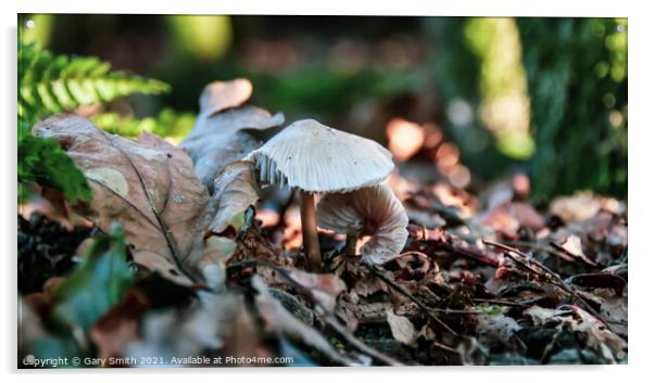 Snowy Waxcap In The Leaves Acrylic by GJS Photography Artist