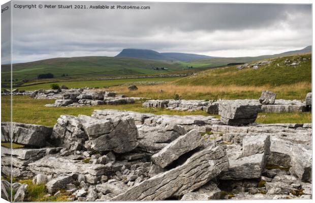 Pen-y-ghent from Winskill Stones above Langcliffe Canvas Print by Peter Stuart