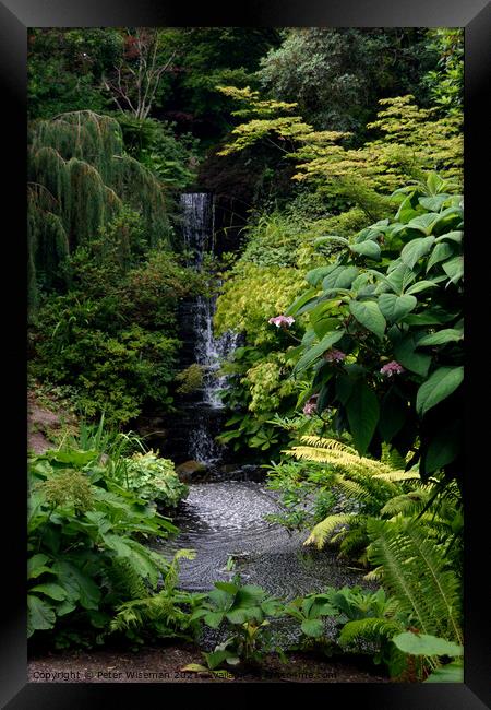Waterfall at the Dorothy Clive Garden near Woore Framed Print by Peter Wiseman