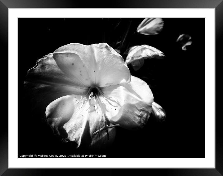 Abstract Monochrome Flower Framed Mounted Print by Victoria Copley