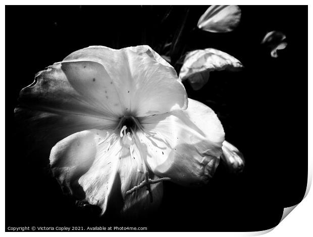 Abstract Monochrome Flower Print by Victoria Copley