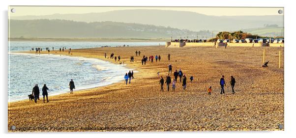 Exmouth Beach Devon   Acrylic by Peter F Hunt