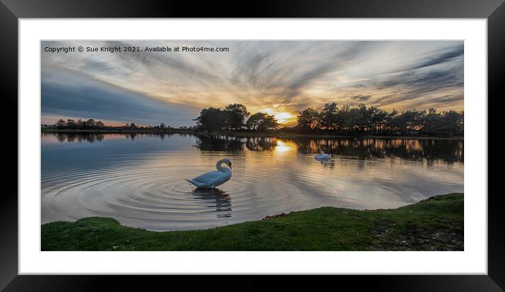 Evening Glow - Hatchet Pond Framed Mounted Print by Sue Knight