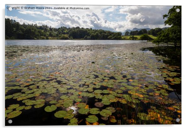 Lily pads at Loughrigg Tarn Acrylic by Graham Moore