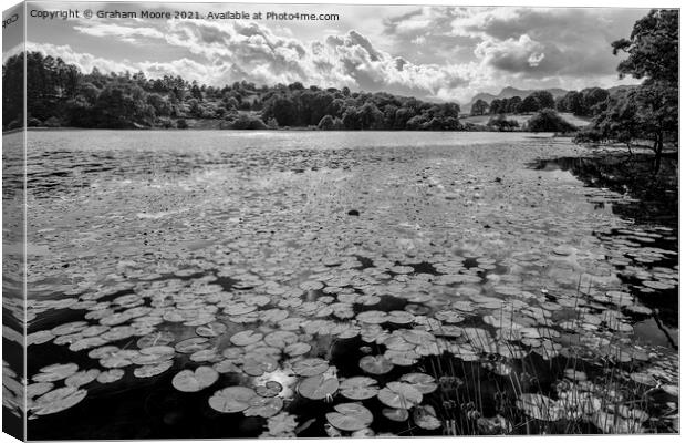 Lily pads at Loughrigg Tarn monochrome Canvas Print by Graham Moore