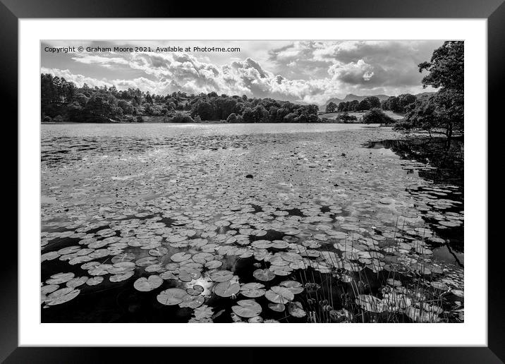 Lily pads at Loughrigg Tarn monochrome Framed Mounted Print by Graham Moore