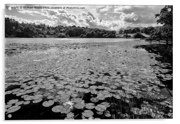 Lily pads at Loughrigg Tarn monochrome Acrylic by Graham Moore