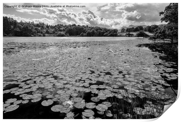 Lily pads at Loughrigg Tarn monochrome Print by Graham Moore