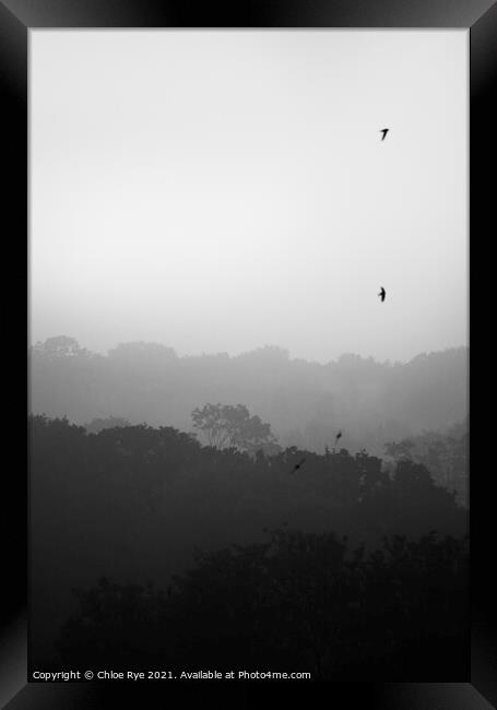 Bexhill fog Framed Print by Chloe Rye