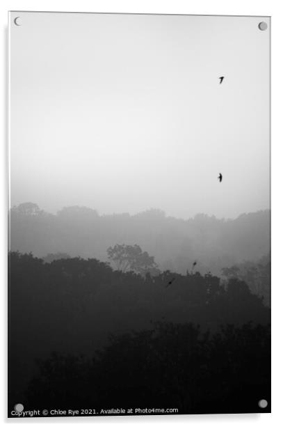 Bexhill fog Acrylic by Chloe Rye