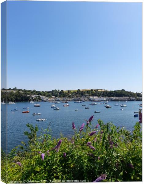Falmouth harbour Canvas Print by Chloe Rye