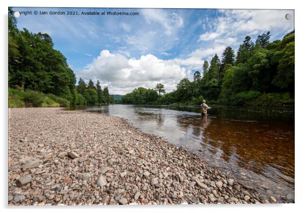 Fly Fishing on the River Tay at Dunkeld Perthshire Scotland  Acrylic by Iain Gordon