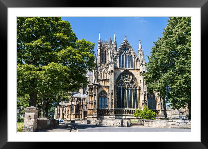 Trees framing Lincoln cathedral Framed Mounted Print by Jason Wells