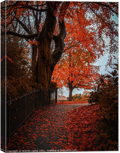 A autumn park walk  Canvas Print by andrew copley