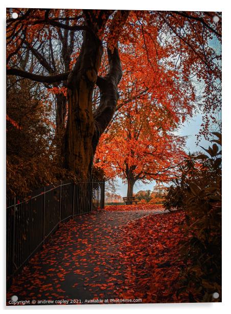 A autumn park walk  Acrylic by andrew copley