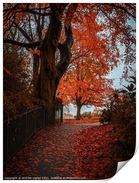 A autumn park walk  Print by andrew copley