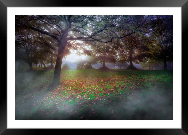 Misty moonlight in the park Framed Mounted Print by Leighton Collins
