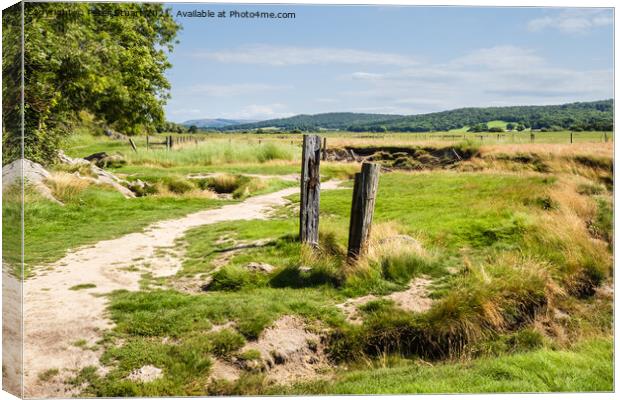 The Lancashire Way at Silverdale and Arnside  Canvas Print by Peter Stuart